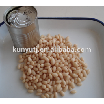 canned white bean